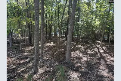 000 Circle H. Wood Road, Prosperity, SC 29127 - Photo 7