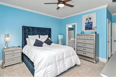 149 Lakeport Drive, Chapin, SC 29036 - Photo 57
