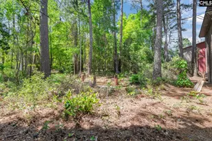 215 Windsor Point Rd, Columbia, SC 29223 - Photo 9