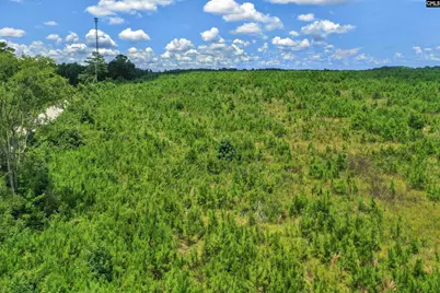 0000 Hwy 215 2 #2, Jenkinsville, SC 29065 - Photo 35