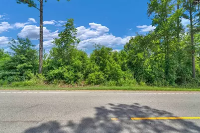 0000 Hwy 215 2 #2, Jenkinsville, SC 29065 - Photo 29