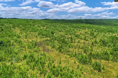 0000 Hwy 215 2 #2, Jenkinsville, SC 29065 - Photo 37