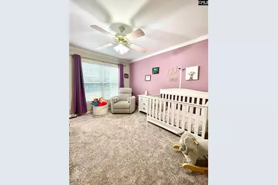 1043 Eau Claire Drive, Chapin, SC 29036 - Photo 17