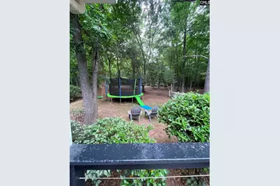 1043 Eau Claire Drive, Chapin, SC 29036 - Photo 29