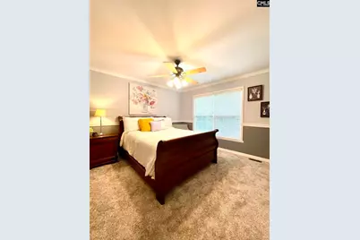 1043 Eau Claire Drive, Chapin, SC 29036 - Photo 21