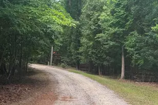 1043 Eau Claire Dr, Chapin, SC 29036 - Photo 3