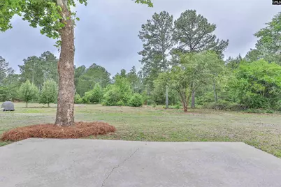 3209 Old Charleston Road, Gilbert, SC 29054 - Photo 39