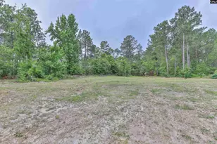 3209 Old Charleston Rd, Gilbert, SC 29054 - Photo 43