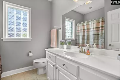212 Night Harbor Drive, Chapin, SC 29036 - Photo 29