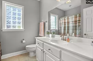 212 Night Harbor Dr, Chapin, SC 29036 - Photo 29