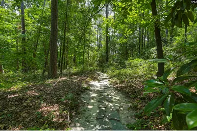 312 Wotan Drive, Columbia, SC 29229 - Photo 55