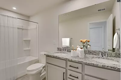 611 Basalt Court, Chapin, SC 29036 - Photo 41