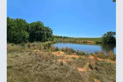 542 Pea Ridge Highway, Jonesville, SC 29353 - Photo 9