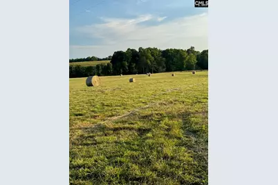 542 Pea Ridge Highway, Jonesville, SC 29353 - Photo 5