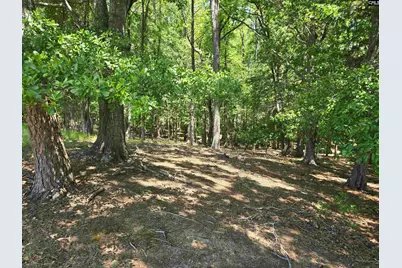 542 Pea Ridge Highway, Jonesville, SC 29353 - Photo 35