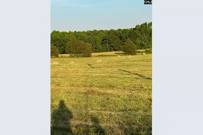 542 Pea Ridge Highway, Jonesville, SC 29353 - Photo 7