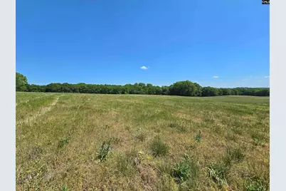 542 Pea Ridge Highway, Jonesville, SC 29353 - Photo 39