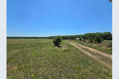542 Pea Ridge Highway, Jonesville, SC 29353 - Photo 19