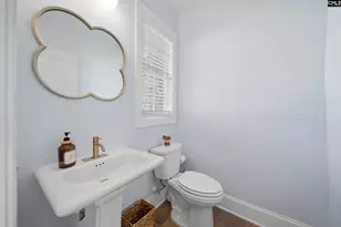 336 Lightning Bug Ln, Lexington, SC 29072 - Photo 7