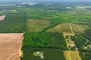 D Toby Creek Rd, Barnwell, SC 29812 - Photo 1