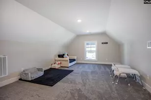41 Elk Run Ct, Chapin, SC 29036 - Photo 53