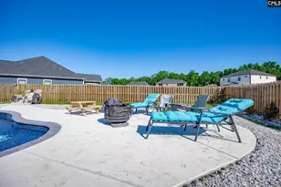 41 Elk Run Ct, Chapin, SC 29036 - Photo 43