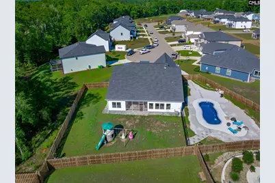 41 Elk Run Court, Chapin, SC 29036 - Photo 23