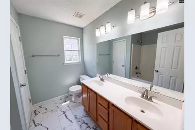 3 Summer Branch Court, Irmo, SC 29063 - Photo 19