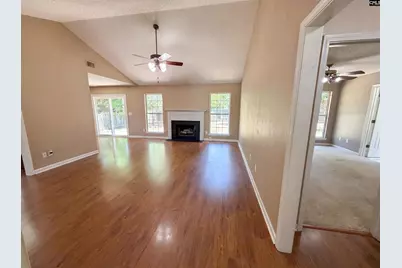 3 Summer Branch Court, Irmo, SC 29063 - Photo 3