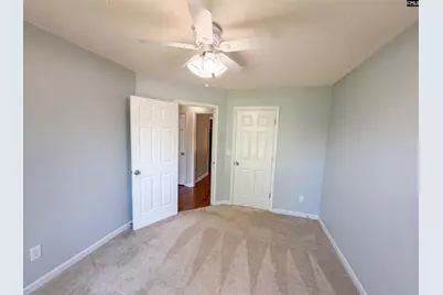 3 Summer Branch Court, Irmo, SC 29063 - Photo 15