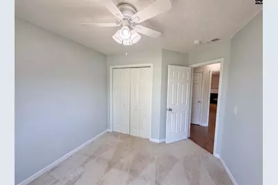 3 Summer Branch Court, Irmo, SC 29063 - Photo 17