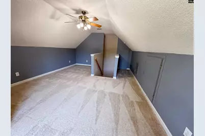 3 Summer Branch Court, Irmo, SC 29063 - Photo 23