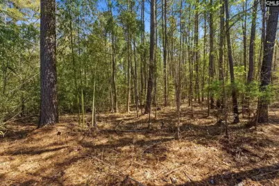 0 Shore Road, Gilbert, SC 29054 - Photo 5