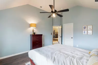 646 Village Market Drive, Chapin, SC 29036 - Photo 33