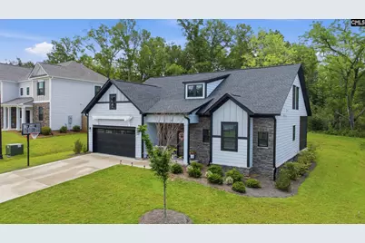149 Collins Cove Drive, Chapin, SC 29036 - Photo 3