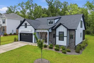 149 Collins Cv Dr, Chapin, SC 29036 - Photo 3