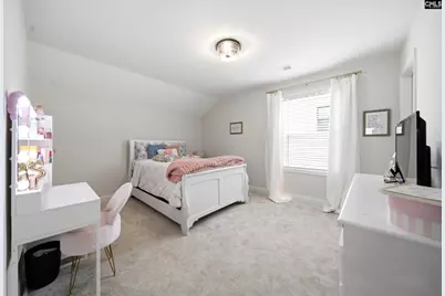 149 Collins Cove Drive, Chapin, SC 29036 - Photo 25