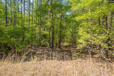 122 E Lonesome Pine Trail, Camden, SC 29020 - Photo 55