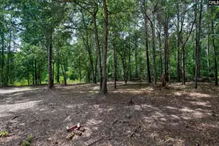 50 Nature Ln, Elgin, SC 29045 - Photo 47