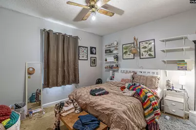 2 Maid Lynn Court, Irmo, SC 29063 - Photo 11