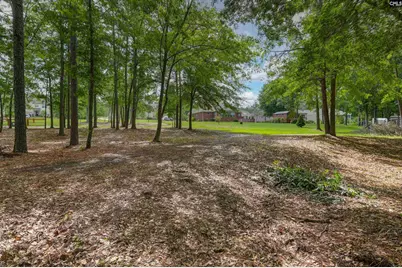 120 Living Waters Boulevard, Lexington, SC 29073 - Photo 3