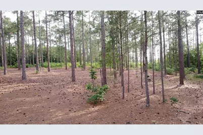 0 Little Creek Drive, Leesville, SC 29070 - Photo 7