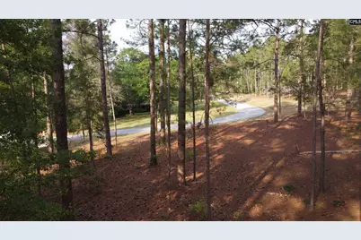 0 Little Creek Drive, Leesville, SC 29070 - Photo 13