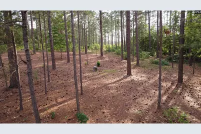0 Little Creek Drive, Leesville, SC 29070 - Photo 11