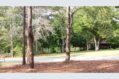 0 Little Creek Drive, Leesville, SC 29070 - Photo 15