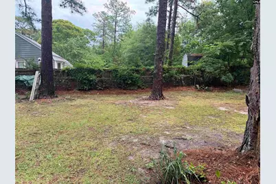 154 La Habra Lane, West Columbia, SC 20170 - Photo 3