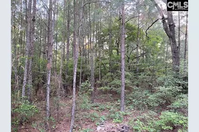 1155 Jones Wire Road, Swansea, SC 29160 - Photo 3