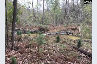 Old Cherokee Road, Blair, SC 29015 - Photo 11