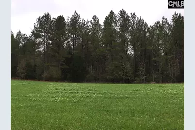 Old Cherokee Road, Blair, SC 29015 - Photo 13