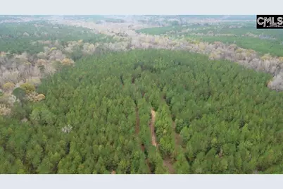 Old Cherokee Road, Blair, SC 29015 - Photo 5